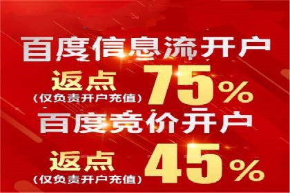 信息流广告精准投放：成功案例展示
